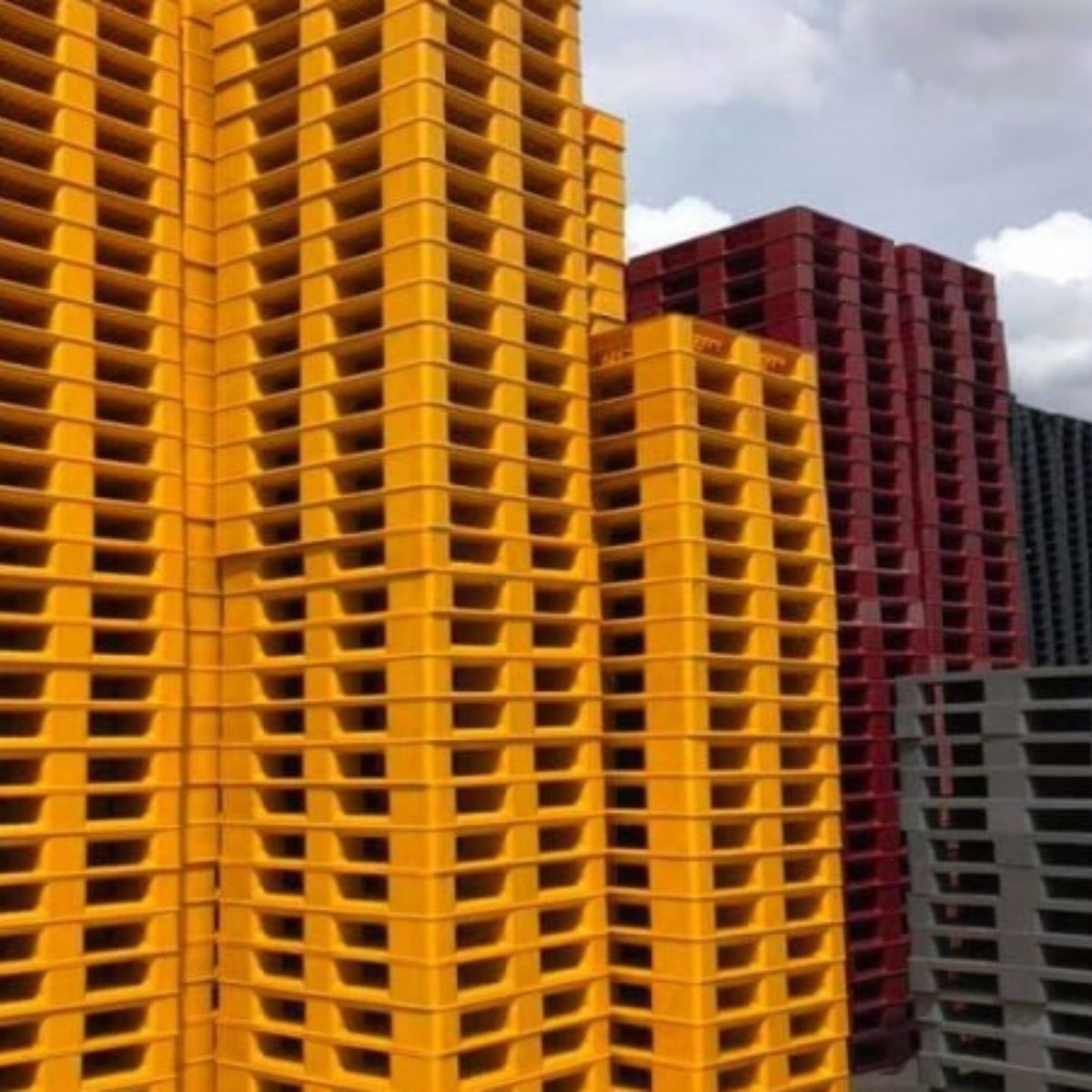 Pallet nhựa